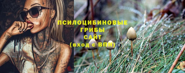 меф Арсеньев