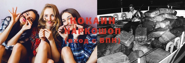 мяу мяу мука Аркадак