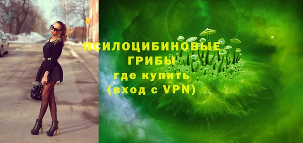 меф Арсеньев