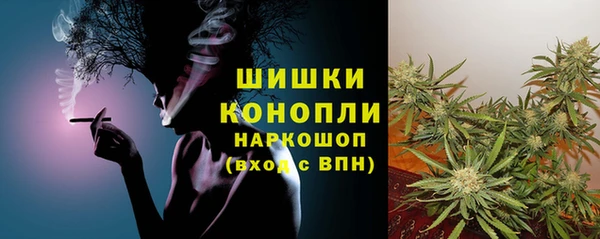 меф Арсеньев