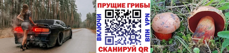 кракен ССЫЛКА  купить наркоту  Харабали  Галлюциногенные грибы Magic Shrooms 